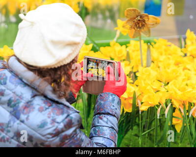 Paternoster Square, London, 3. März 2018. Eine junge Frau nimmt Bilder der Narzissen. Der Frühling ist da, zumindest im Paternoster Square, wo 4.000 handgefertigte Narzissen als Teil der 'Garten des Lichts' Installation, erstellt von der unheilbaren Krankheit Pflege liebe Marie Curie erschienen sind. Teil der Großen Narzisse, Mitglieder der öffentlichkeit können auch Nachrichten auf einer Wand verlassen. Die Narzissen am Abend erleuchten und wird auf dem Platz von Sat 3. bis So. 11 März bleiben. Credit: Imageplotter Nachrichten und Sport/Alamy leben Nachrichten Stockfoto