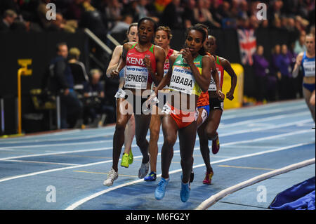 März 3, 2018: Genzebe Dibaba von Äthiopien gewann 1500 Meter bei World indoor Leichtathletik Meisterschaft 2018, Birmingham, England. Ulrik Pedersen/CSM Stockfoto