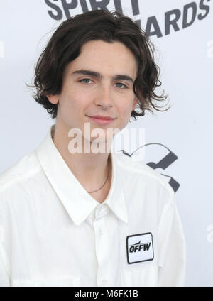 BEVERLY HILLS, Ca - 20. Januar: Schauspieler Timothee Chalamet besucht die 2018 Jährliche Producers Guild Awards im Beverly Hilton Hotel am 20 Januar, 2018 in Beverly Hills, Kalifornien. Foto von Barry King/Alamy leben Nachrichten Stockfoto