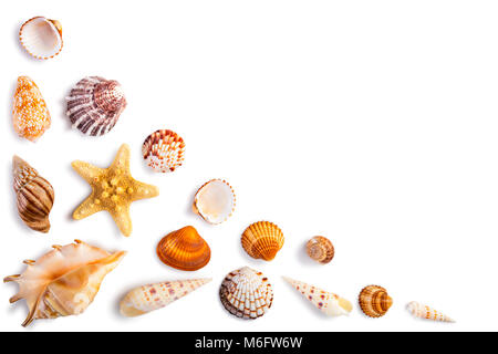 Rahmen mit Muscheln isoliert auf weißem Stockfoto