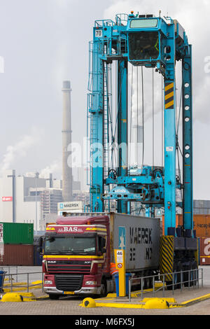 ROTTERDAM, Niederlande - Sep 6, 2013: Straddle Carrier einen Container auf einem LKW-Anhänger in einem Terminal des Hafens von Rotterdam. Stockfoto