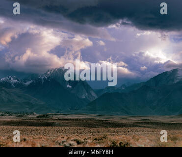 Gewitterwolken, McGee Canyon, Mount Morrison, Inyo National Forest, östlichen Sierra, Kalifornien Stockfoto