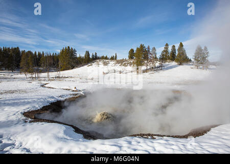 Churning Topf, Schlammvulkan. Stockfoto