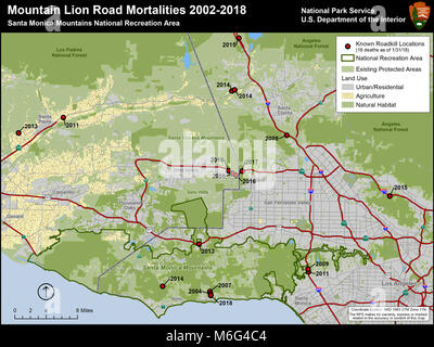 Mountain Lion Straße Mortalität. Ab Januar 2018 werden die National Park Service hatte dokumentiert Insgesamt 18 Mountain Lions geschlagen und mit Fahrzeugen, die in der Studie seit 2002 getötet. Stockfoto