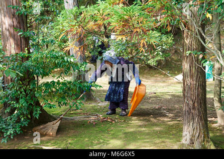 Alte japanische Frau in Kimono gekleidet, die Pflege eines Gartens in der Stadt Kyoto, Japan Stockfoto