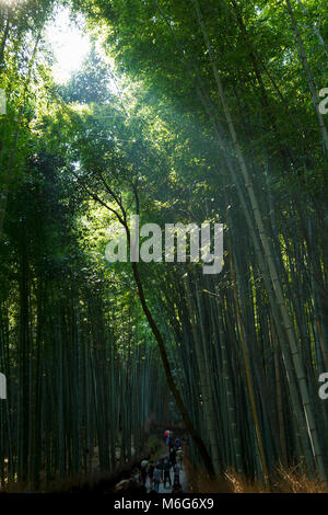 Menschen besuchen und Wandern im Bamboo Forest in Arashiyama, Kyoto, Japan Stockfoto