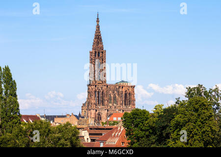 Die Kathedrale Unserer Lieben Frau von Straßburg (Notre-Dame), eine römisch-katholische Kathedrale in Straßburg, Elsass, Frankreich. Die weltweit höchste Gebäude von 1647 zu Stockfoto