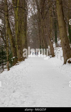 Menschen zu Fuß entlang der schneebedeckten Pfad neben dem Fluß in Durham Großbritannien Verschleiß Stockfoto