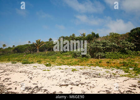 Lifuka Island. Ha'apai Inseln. Tonga Stockfoto