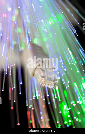 LAN- und LWL-Kabel-studio Shot Stockfoto