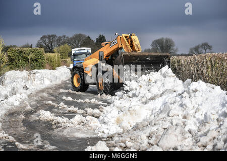 Ein JCB wird verwendet, um die Fahrbahn und Schnee nach Fahrzeuge in Schnee auf Draycott Schließen blockiert wurde, zwischen Draycot Foliat und Ogbourne St George, in der Nähe von Marlborough, Wiltshire, wo die Straße als Ablenkung Route durch die 346 übrigen Eingeschneit verwendet wird. Stockfoto