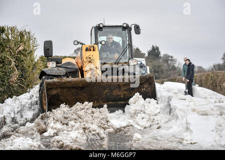 Ein JCB wird verwendet, um die Fahrbahn und Schnee nach Fahrzeuge in Schnee auf Draycott Schließen blockiert wurde, zwischen Draycot Foliat und Ogbourne St George, in der Nähe von Marlborough, Wiltshire, wo die Straße als Ablenkung Route durch die 346 übrigen Eingeschneit verwendet wird. Stockfoto