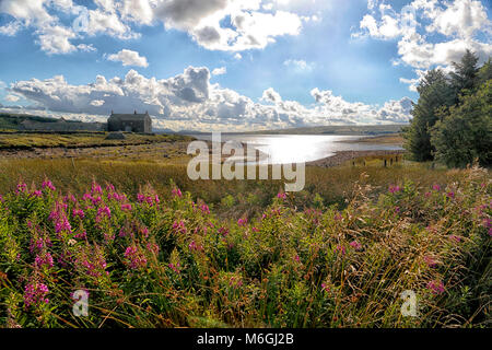 Behälter und Grimwith Grimwith Haus, das Reservoir mit niedrigen Wasserständen an einem schönen Sommertag Stockfoto