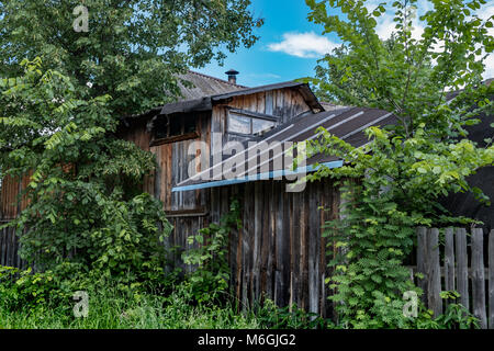 Überwuchert mit viel Grün alte Holzscheune in der Landschaft im Sommer Tag Stockfoto