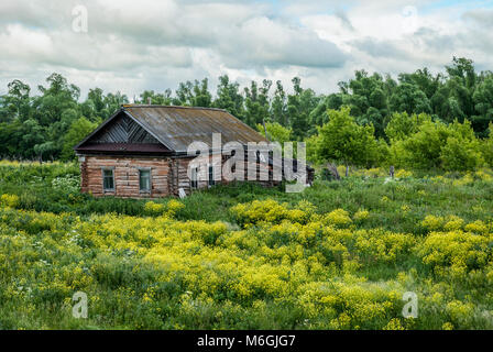 Alte Hütte und blühendes Gras auf dem Land. Gelbe Blumen und grünes Gras wachsen in der Nähe von alten Holzhütte gegen bewölkten Himmel. Verlassene alte Blockhaus Stockfoto