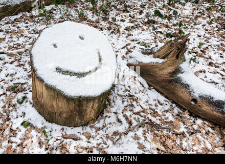 Smiley emoji gezeichnet auf schneebedeckten Baumstumpf Stockfoto