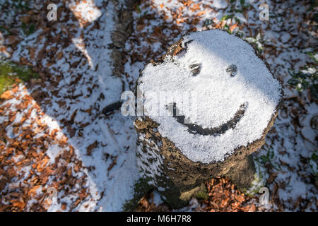 Smiley emoji gezeichnet auf schneebedeckten Baumstumpf Stockfoto