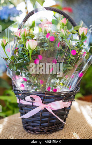 Rosa Rosen Geschenk verpackt in einem Weidenkorb für Muttertag Stockfoto