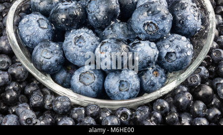 Kleine und große Heidelbeeren in einer Glasschale. Vaccinium myrtillus. Dekorativer Hintergrund mit der Nahaufnahme von frischen süßen Heidelbeeren mit Wassertröpfchen. Stockfoto