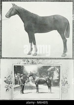 'Liebhaber des Pferdes: kurze Skizzen der Männer und Frauen der Herrschaft von Kanada zu den edelsten von Tieren gewidmet. - -' (1909) Stockfoto