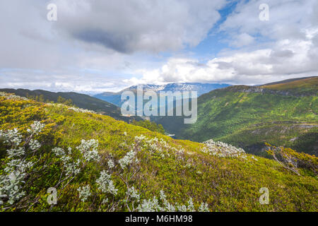 Bergpanorama von der Vikafjell, Norwegen, Blick von Storehaug an der Barriere See von Refsdal, Grafschaft Sogn und Fjordane Stockfoto