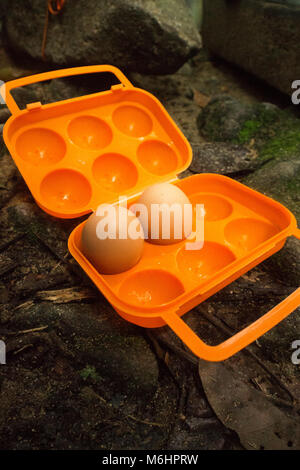 Frische Eier in tragbaren egg Storage für Camping Stockfoto