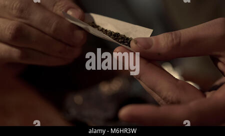 Nahaufnahme der männlichen Händen rolling Gemeinsame, Marihuana Legalisierung für die Freizeitgestaltung Stockfoto