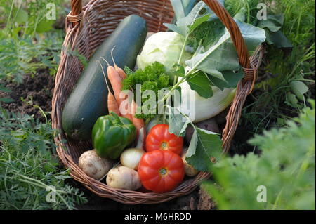 Gemüse 20. Stockfoto