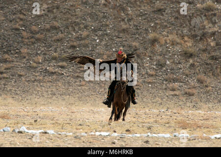 Eine kasachische Eagle Hunter nennt seine Adler während der Golden Eagle festival Wettbewerb 2017 in Olgii, der westlichen Mongolei. Stockfoto