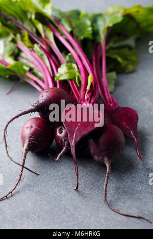 Rüben, rote Beete Bündel auf grauem Stein Hintergrund. Stockfoto