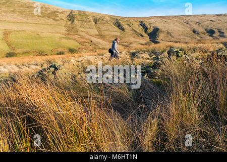 Weibliche Wanderer auf einem Pfad in den Goyt Valley Gegend des Peak District, mit den Katzen Tor/Shining Tor ridge in der Entfernung Stockfoto