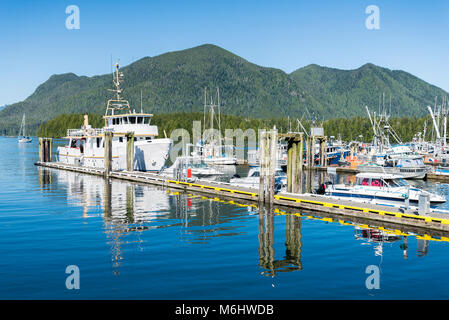 Marina, Tofino, Britisch-Kolumbien, Kanada Stockfoto