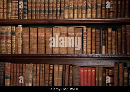 Bibliothek der alten Bücher Stockfoto