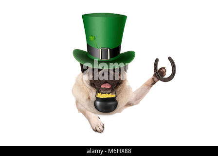St Patricks Day mops Welpe Hund mit grünen Kobold hat, Hufeisen und Topf mit goldenen Münzen, auf weißem Hintergrund Stockfoto