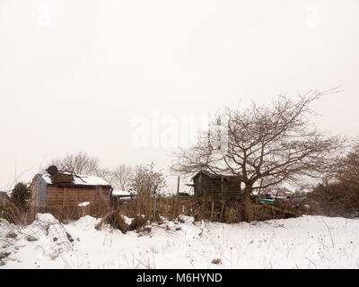 Kleine Holzschuppen Baum Winter schnee Feld außerhalb weißen Himmel Natur Hintergrund, Essex, England, Großbritannien Stockfoto