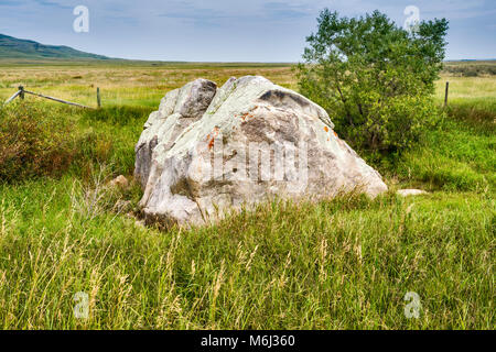 Glazialen erratischen Rock in der Nähe von Head-Smashed-In Buffalo Jump Interpretive Center, nahe Fort Macleod, Alberta, Kanada Stockfoto