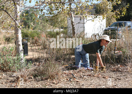 Besucherzentrum Garten Freiwillige. Die Freiwilligen sind die Pädagogische einheimische Pflanze Garten, in den Santa Monica Mountains Interagency Visitor Center im König Gilette Ranch wiederherstellen. Stockfoto