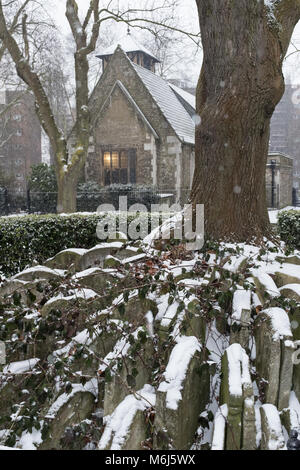 Die Hardy Baum im Schnee, St. Pancras Old Church, Camden, London, UK Stockfoto