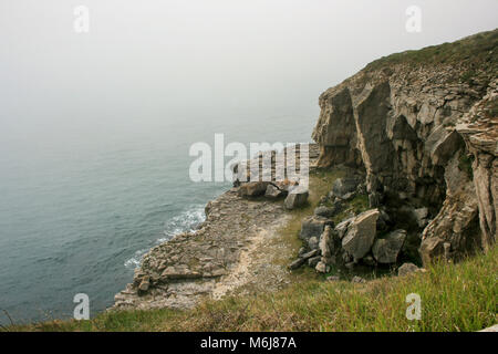 Tilly Laune Höhlen, in der Nähe von Anvil Point Lighthouse Tag und Durlston Schloss, Durlston Country Park, Swanage, Dorset, Großbritannien Stockfoto