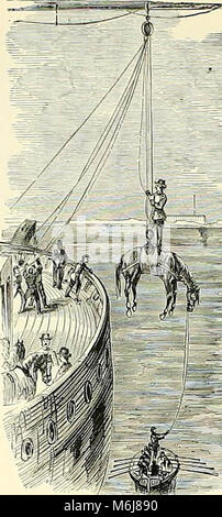 Der Soldat in unserem Bürgerkrieg: eine bildliche Geschichte des Konflikts, 1861-1865, illustrieren die Tapferkeit des Soldaten in der Schlacht-Feld angezeigt, von Skizzen von Forbes, Waud, Taylor, Bart, Becker, Lovie, Schell, Kran und zahlreiche andere Augenzeugen in den Streit gezogen Stockfoto