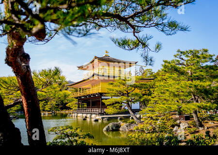 Der Goldene Pavillon Kinkaku-ji-Tempel in Kyoto, Japan Stockfoto