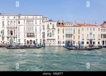 Canal Grande, Venedig, Venetien, Italien, vier Gondeln mit Touristen an einem sonnigen Herbsttag rudern vergangenen historischen Palazzos in San Marco Stockfoto