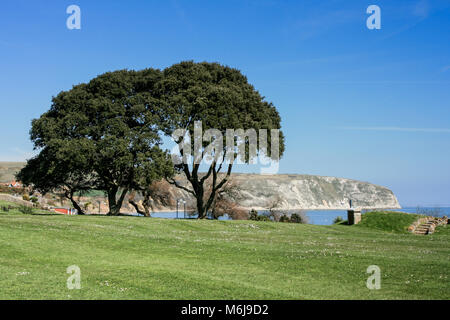 Landschaft Blick Richtung Ballard auf einen sonnigen Tag in Swanage Bay, Swanage, Dorset, Großbritannien Stockfoto