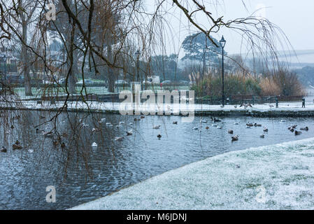 Schnee in Trenance Gärten in Newquay Cornwall. Stockfoto
