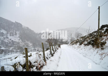 Pistyll Rhaeadr Wasserfall Berwyn Mountains Stockfoto