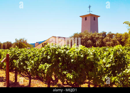 Kalifornische Weingut Landschaft in Napa Valley im Sommer Stockfoto