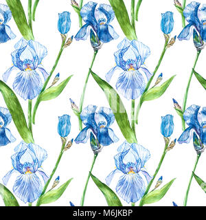 Blüten der Iris. Aquarell Hand gezeichnet botanischen Abbildung von Blumen. Nahtlose Muster. Stockfoto