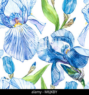 Blüten der Iris. Aquarell Hand gezeichnet botanischen Abbildung von Blumen. Nahtlose Muster. Stockfoto
