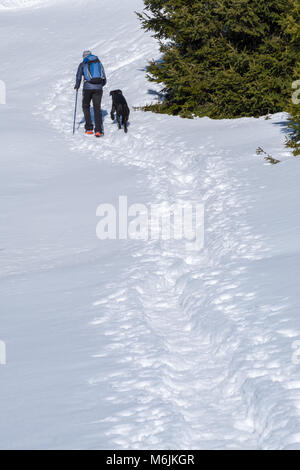 Männliche Wanderer mit blauer Jacke und backbag Wandern mit schwarzer Hund durch tiefen Schnee auf dem Berg Rennfeld im Winter Stockfoto