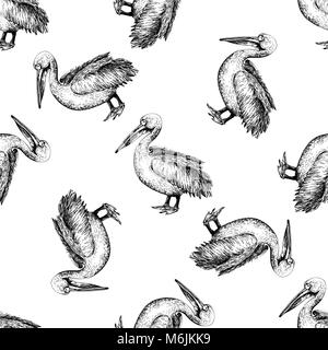 Nahtlose Muster von Hand gezeichnete Skizze stil Pelican. Vector Illustration auf weißem Hintergrund. Stock Vektor